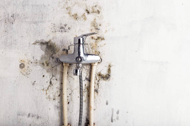 Best Commercial Mold Remediation in Oglethorpe, GA