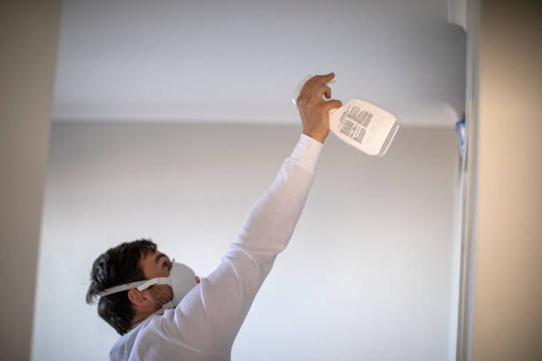 Best Emergency Mold Remediation in Oglethorpe, GA